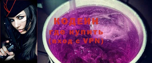 шишки Нязепетровск
