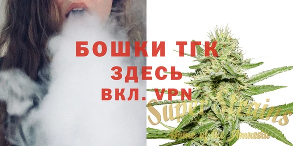 шишки Нязепетровск
